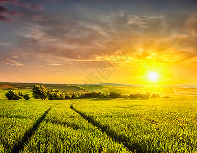 捷克共国莫拉维亚田野的美丽日落日落田野里图片