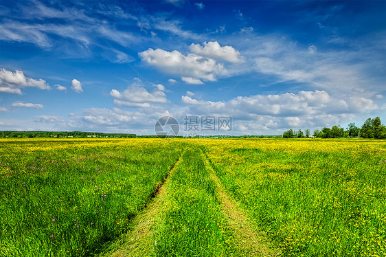 春夏背景乡村道路绿草田草甸风景与蓝天春夏乡村道路绿野风光中的景观图片