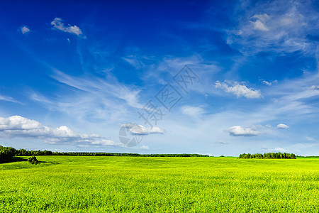 春天的夏天背景绿色的草地,草地,风景,蓝天春夏绿野风光蓝景图片