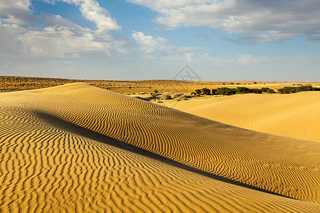 塔尔沙漠的沙丘萨姆沙丘,拉贾斯坦邦,印度印度拉贾斯坦邦塔尔沙漠沙丘图片