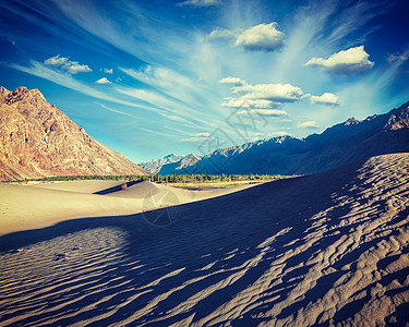 复古效果过滤了喜马拉雅山努布拉谷沙丘的时髦风格形象汉德,努布拉谷,拉达克山上的沙丘图片