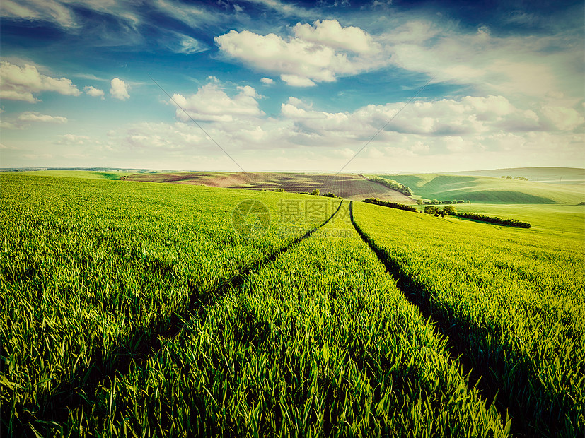 复古效果过滤流行风格的形象绿色领域的莫拉维亚,捷克共国莫拉维亚的绿色田野图片