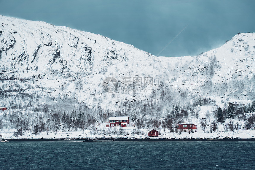 传统的红色Rorbu房子峡湾岸边冬天的雪挪威洛福腾群岛冬天挪威的红色Rorbu房子图片
