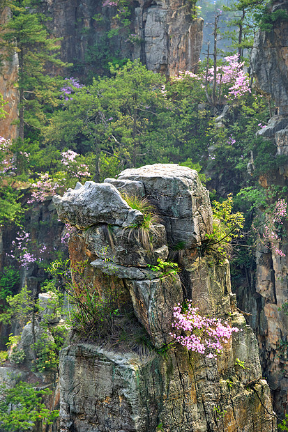 中国著名的旅游景点张家界石柱崖山日落湖南武陵源张家界山脉,中国图片