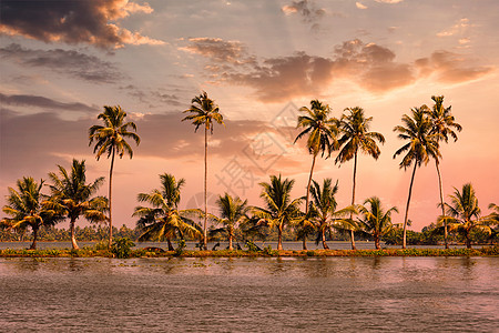 喀拉拉旅游背景喀拉拉背水棕榈阿勒佩伊,喀拉拉邦,印度日落这非常典型的反水图像喀拉拉背水,日落时手掌图片