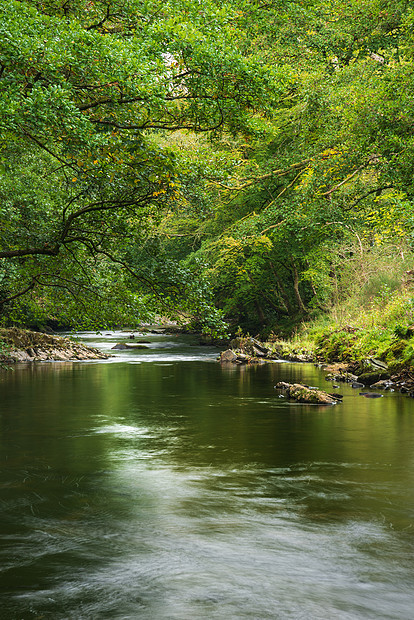 美丽茂盛的绿色河岸,河流缓缓流过平静的风景图片