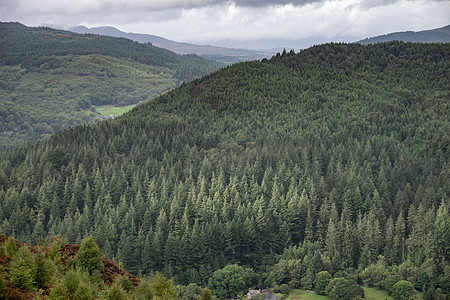 美丽的景观形象,悬崖步行斯诺登尼亚俯瞰巴尔茅斯Coedybrenin森林9月的雨天下午图片