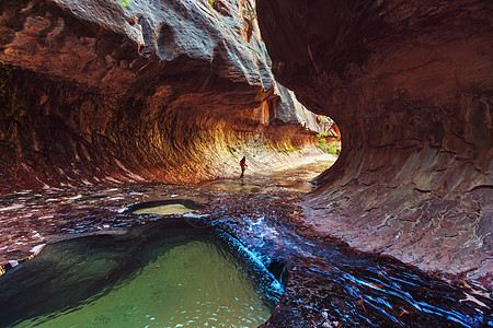 狭窄槽峡谷,锡安公园,犹他州,美国图片