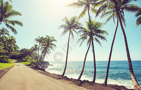 夏威夷岛风景如画图片