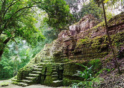 著名的古代玛雅寺庙蒂卡尔公园,危地马拉,洲图片