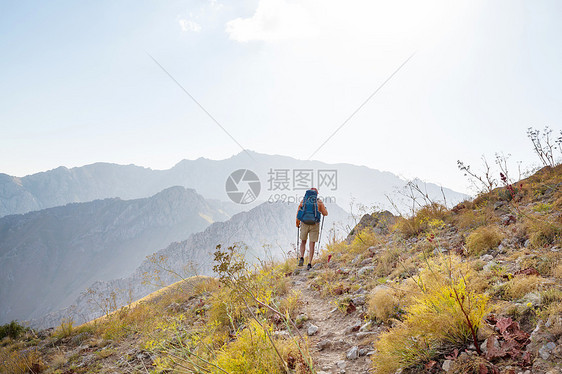 乌兹别克斯坦的钦根山徒步旅行图片