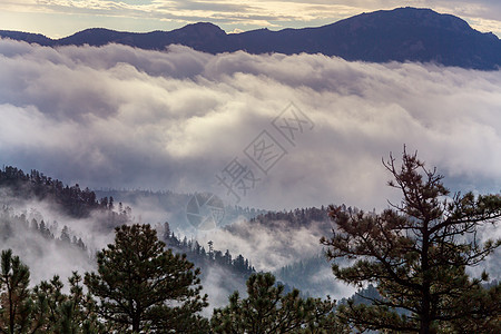 高山上的雾图片