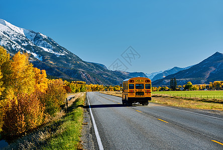 美国秋天科罗拉多州洛基山脉公路上的校车索普里斯山风景图片