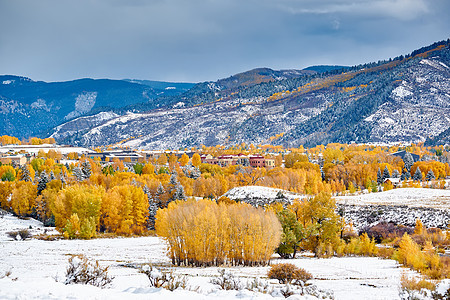 季节变化,雪秋树洛基山,科罗拉多州,美国图片