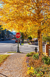 美国科罗拉多州秋季阿斯彭镇的街道图片