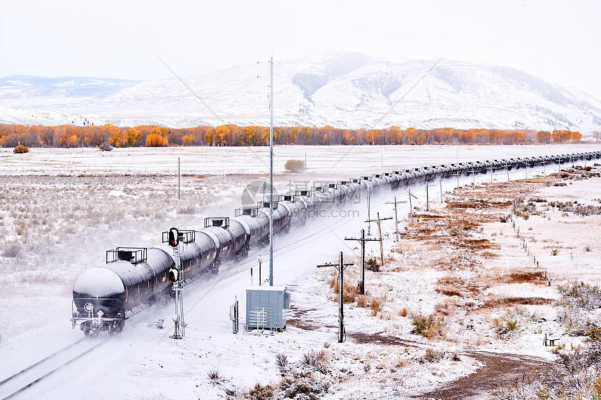 运输车的火车季节变化,雪秋树洛基山,科罗拉多州,美国图片