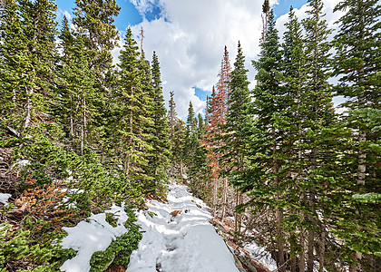 雪道岩石山公园,科罗拉多州,美国图片
