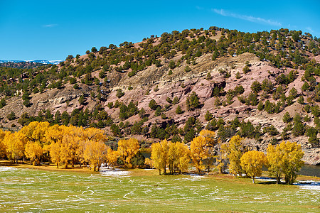 秋天的树木景观洛基山,科罗拉多州,美国图片