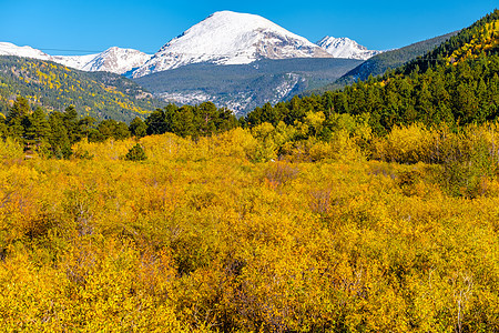 季节秋天冬天洛基山,科罗拉多州,美国图片