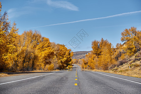 科罗拉多州的公路秋天,美国图片