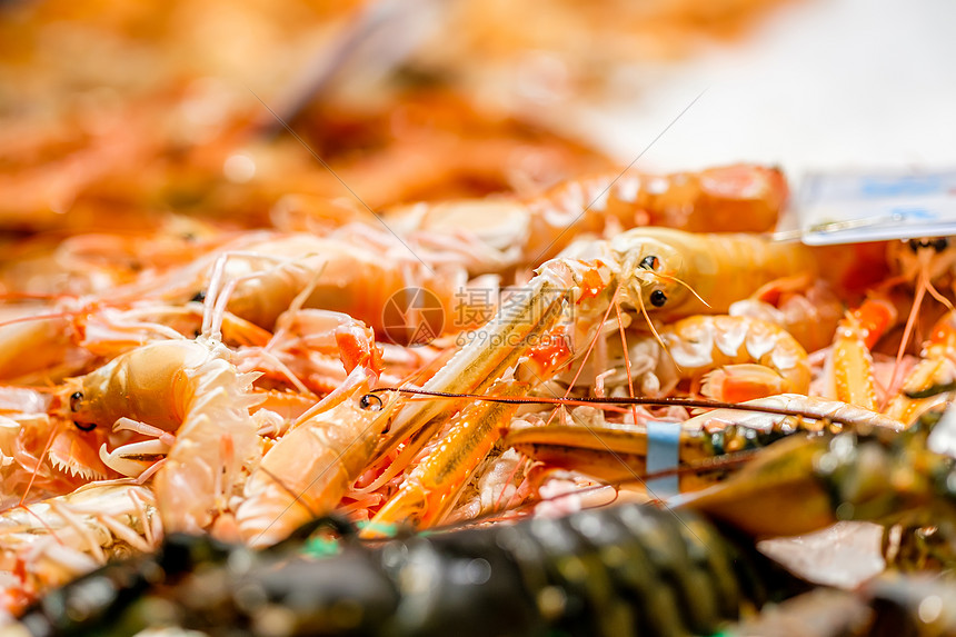 海鲜市场上的新鲜龙虾图片