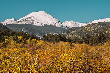 季节秋天冬天洛基山,科罗拉多州,美国图片