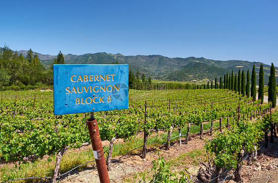 赤霞珠葡萄酒葡萄品种标志美国加州葡萄园景观图片