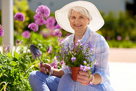 园艺人的快乐的老年女子夏季花园种花老年女子夏季花园种花图片