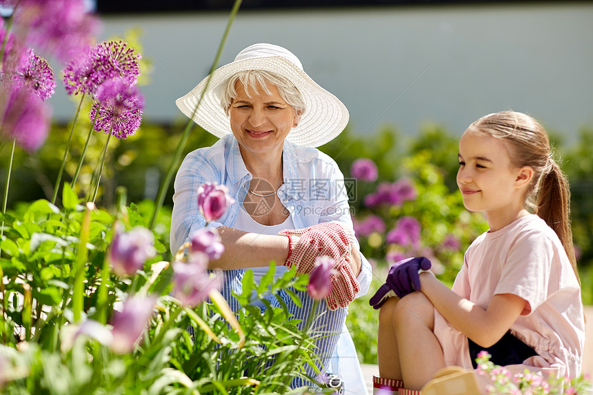 园艺 家庭人的快乐的祖母孙女夏天的花园里看花夏天花园里的祖母带花的女孩高清图片下载 正版图片 摄图网
