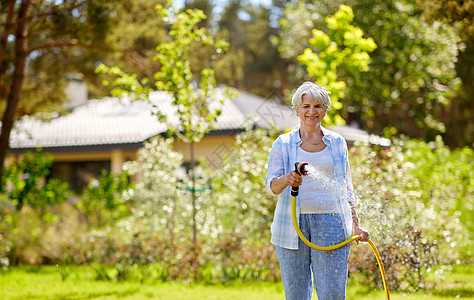 园艺人们的快乐的老年女子夏天用花园软管浇水草坪老妇女花园用软管浇草坪图片
