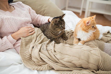 宠物,人的女主与红色塔比猫床上床上用红色Tabby猫主人图片