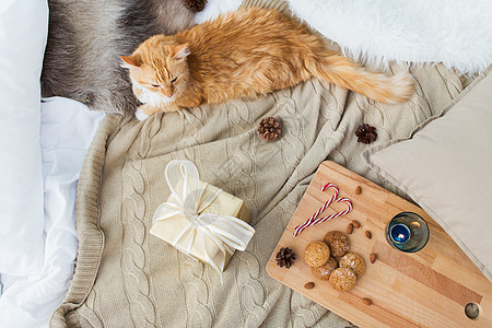 宠物,潮湿诞节的红色塔比猫躺毯子上与礼物,燕麦饼干蜡烛家红猫躺床上,家里诞礼物图片