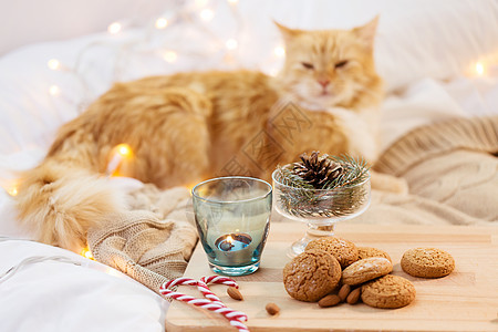 诞燕麦饼干,烛台蜡烛,冷杉树枝装饰猫床上燕麦饼干,蜡烛,冷杉树枝猫床上背景图片