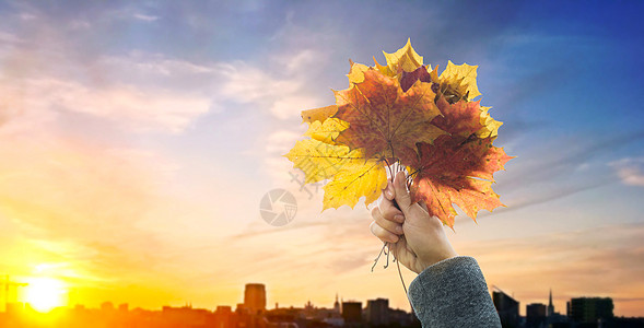 季节自然人的塔林背景的城市,女人手牵秋枫叶夕阳上的特写与秋天的枫叶城市的夕阳上牵手图片