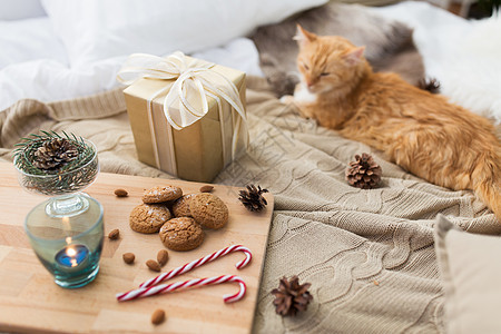 诞红色塔比猫躺毯子上,礼物,燕麦饼干蜡烛家红猫躺床上,家里诞礼物图片
