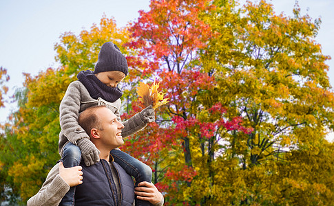 家庭,童父亲的快乐的父亲携带儿子与枫叶秋天的公园背景快乐的父亲带着秋天的枫叶带着儿子图片
