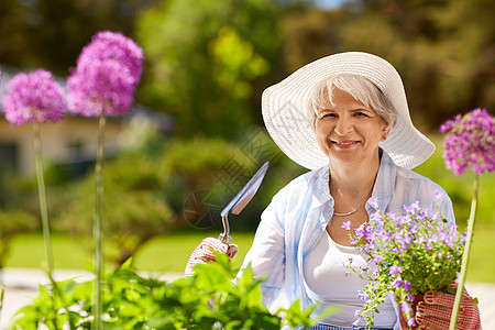 园艺人的快乐的老年女子夏季花园种花老年女子夏季花园种花图片