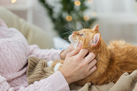 抱猫的人舒适的轻松的高清图片