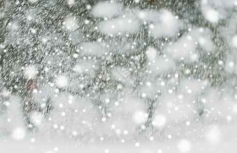 寒假,降水,诞节,季节天气下雪降雪下雪下雪背景图片
