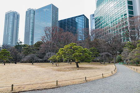 自然城市日本东京的Hamarikyu花园公园日本东京哈玛力库花园公园图片