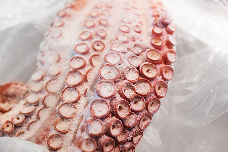 海鲜,销售食品章鱼鱼市场鱼市场章鱼图片