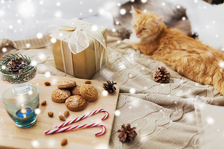 潮湿诞节的红色塔比猫躺毯子上的礼物,燕麦片饼干蜡烛家里的雪红猫躺床上,家里诞礼物图片