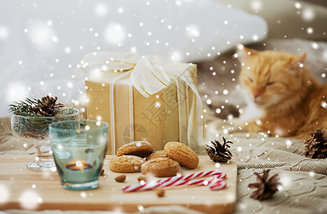 诞礼物,燕麦饼干红色塔比猫躺床上的雪诞礼物,饼干猫躺床上图片