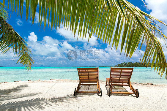 旅行,海景自然热带海滩与棕榈树两个太阳床法属波利尼西亚热带海滩,棕榈树日光浴图片