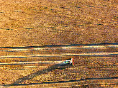 收割机场景工作结合机器收割农业金熟麦田白俄罗斯明斯克附近的大型黑麦场上工作的联合航空视图图片