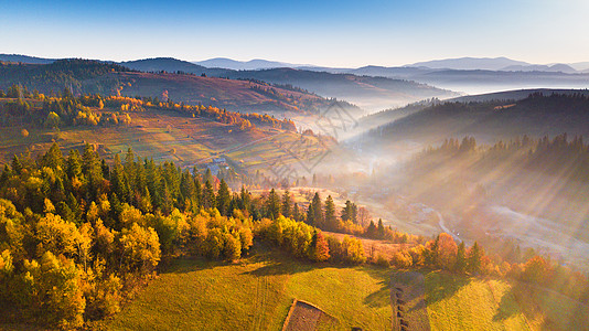 美丽的晨光透过薄雾森林山日出,秋景,草地五颜六色的森林喀尔巴阡山脉,乌克兰,欧洲背景图片