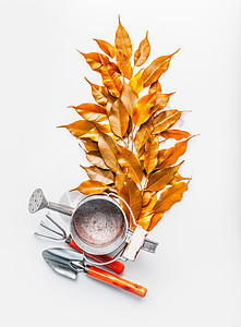 金色秋叶与浇水罐园艺工具白色背景,顶部的秋季园艺布局图片