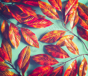 明亮的橙色红色秋叶背景阳光明媚的绿松石上秋季图案布局平躺,俯视图片