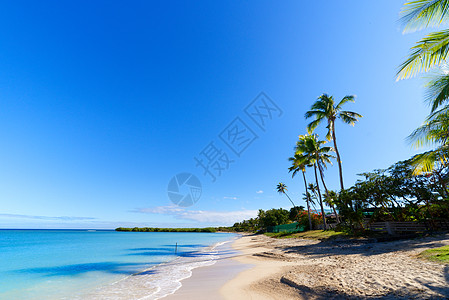 斐济沿海的小岛屿,个白色的沙滩图片