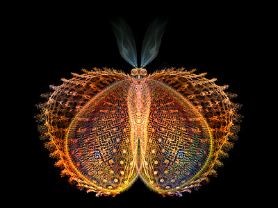 永串联的蝴蝶科学生物学创造力想象力等学科的分形机纹理的抽象图片